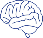 A importância da busca pelo conhecimento