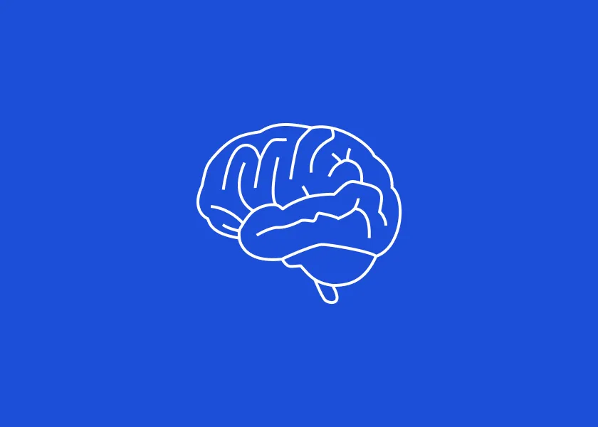 A importância da busca pelo conhecimento.